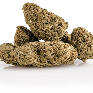Premium Buds