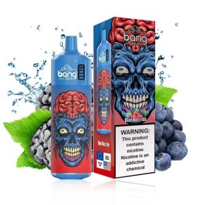 Bang Box 12 000 Puffs