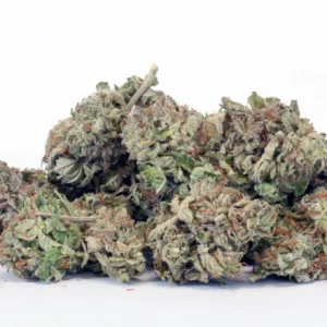 AA Sunset Sherbet